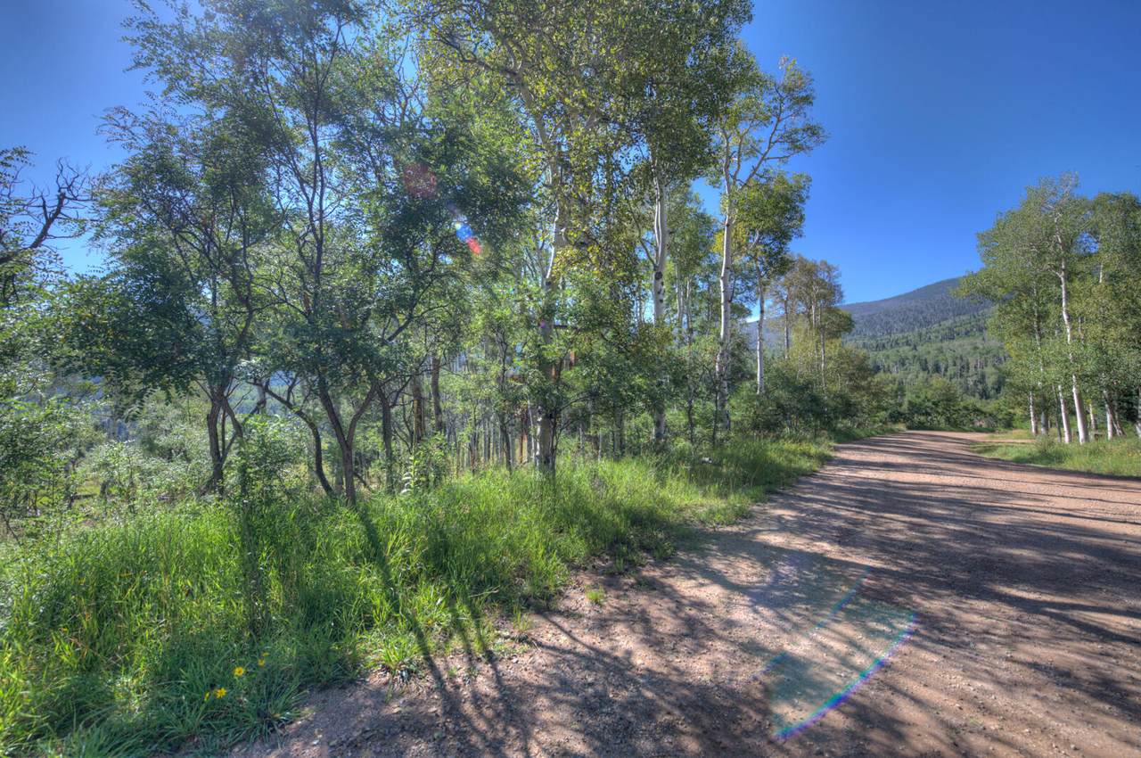 Lot 73 Panadero Loop - Photo 1