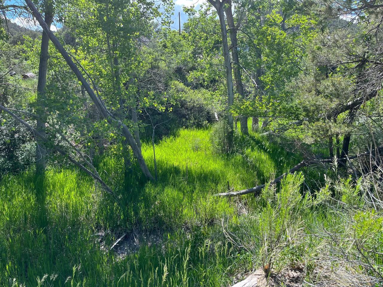 https://bt-photos.global.ssl.fastly.net/spanishpeaks/1280_boomver_2_23-110-2.jpg