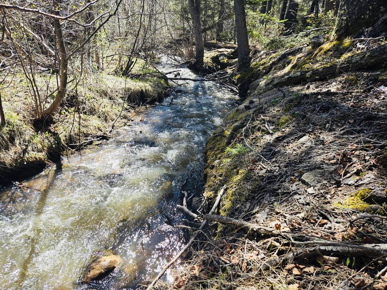 000 County Rd 46 - Photo 1