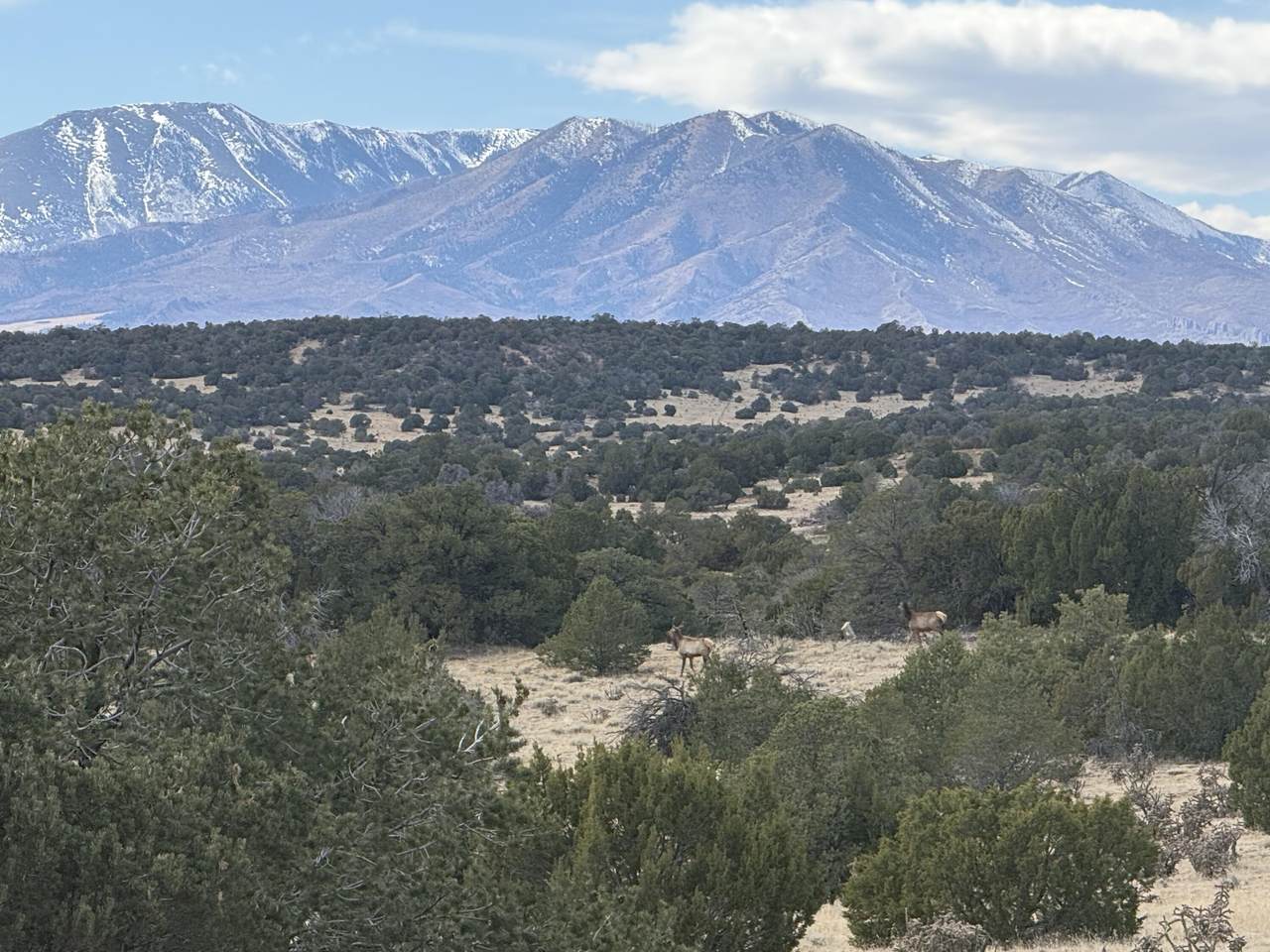 TBD Cr 521.3 - Photo 1