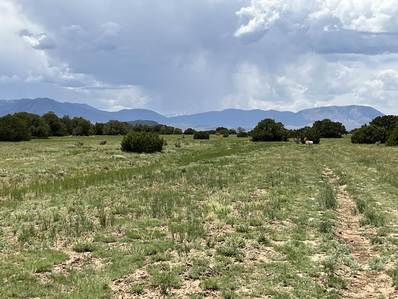 https://bt-photos.global.ssl.fastly.net/spanishpeaks/1280_boomver_2_24-1250-2.jpg