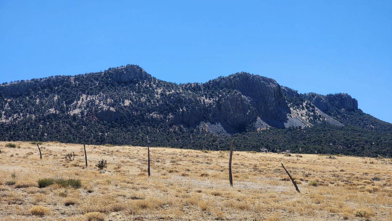 Lot 291 Black Hills #2 - Photo 1