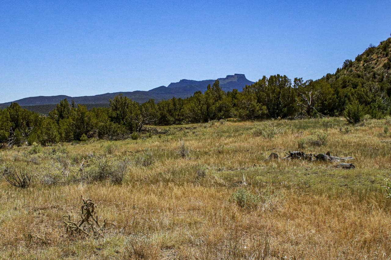 https://bt-photos.global.ssl.fastly.net/spanishpeaks/1280_boomver_2_24-660-2.jpg
