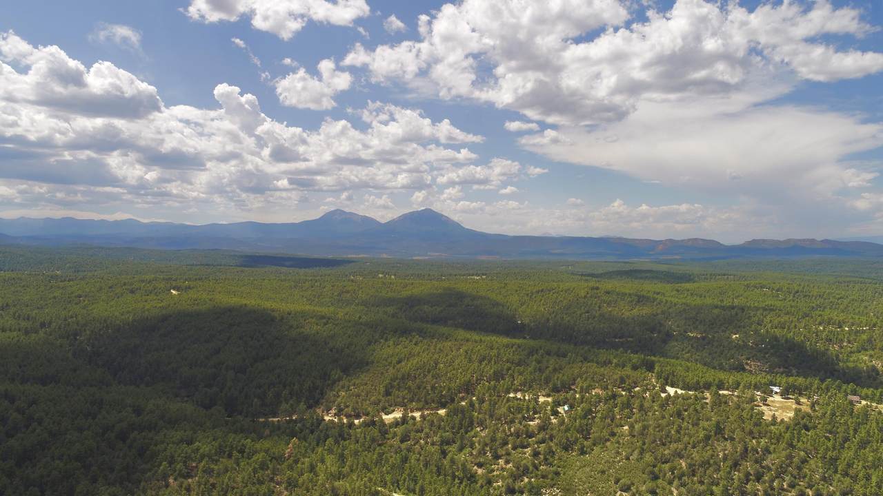 000 Cirrus Way - Photo 1