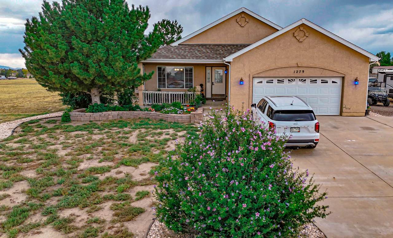 1279 Avenida Del Oro - Photo 1