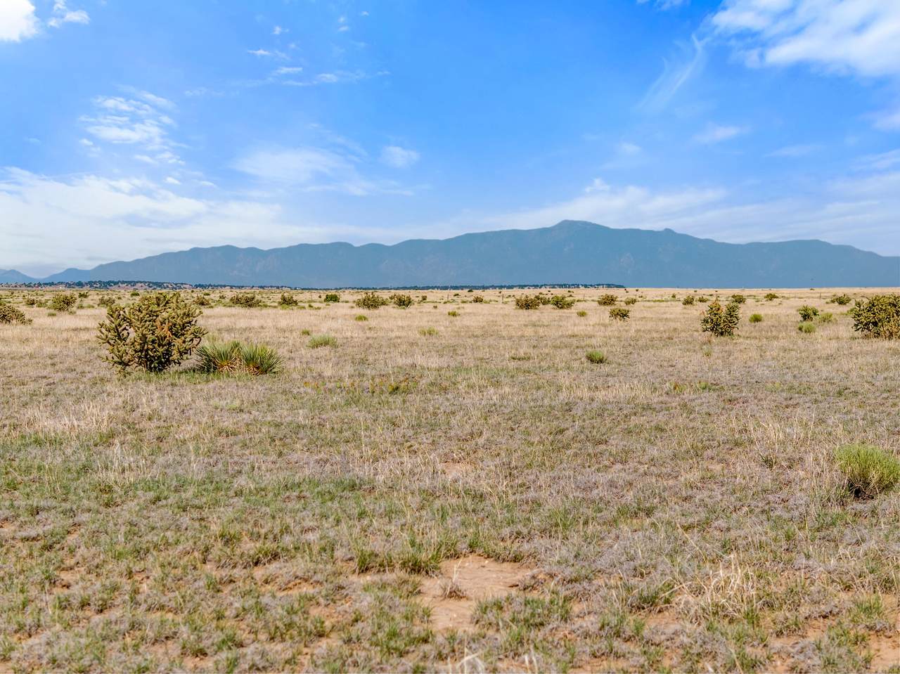 TBD Turkey Ridge - Photo 1