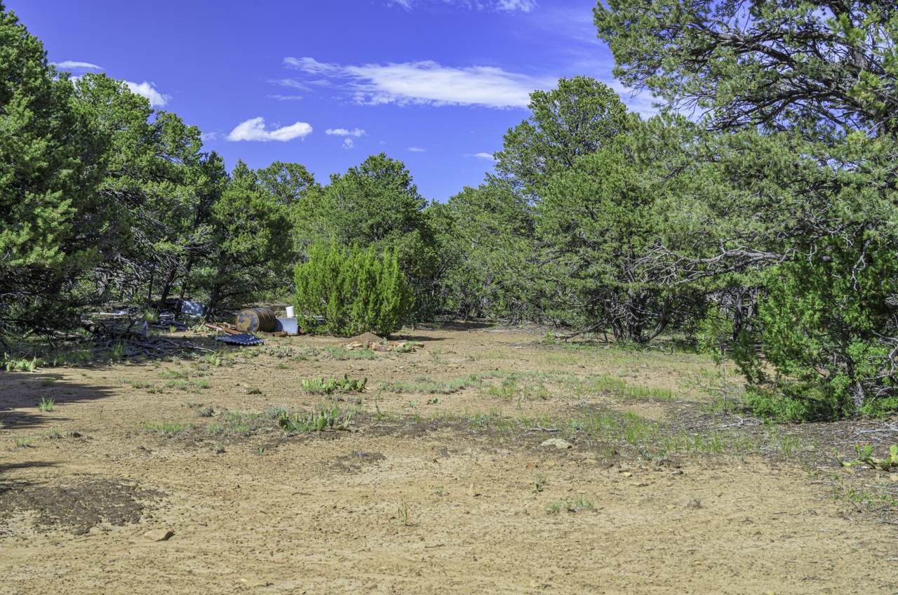 https://bt-photos.global.ssl.fastly.net/spanishpeaks/1280_boomver_2_25-150-2.jpg