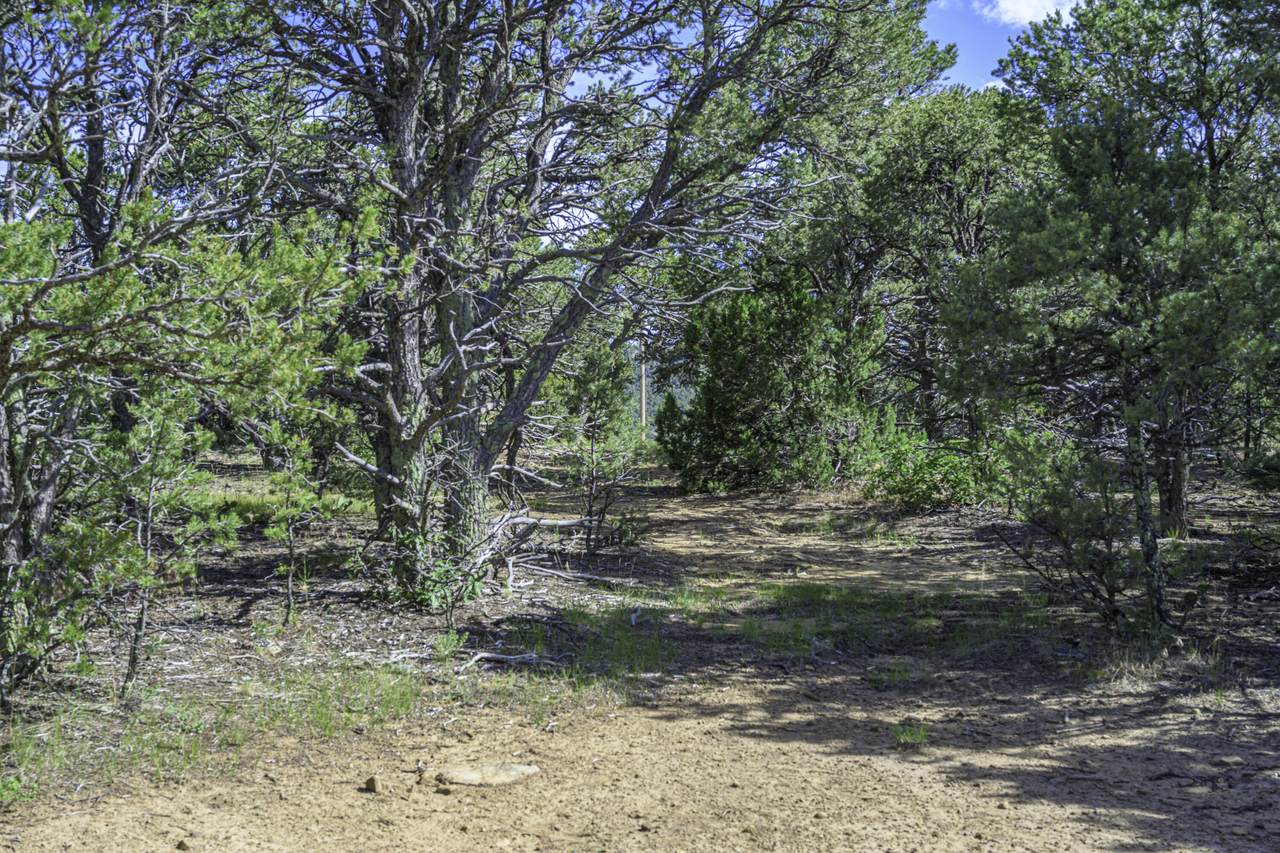 https://bt-photos.global.ssl.fastly.net/spanishpeaks/1280_boomver_2_25-150-2.jpg