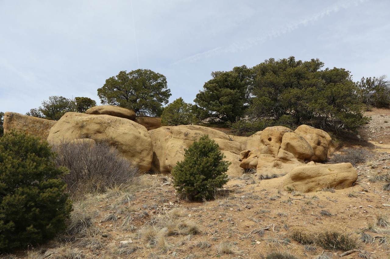311 Navajo Rd - Photo 1