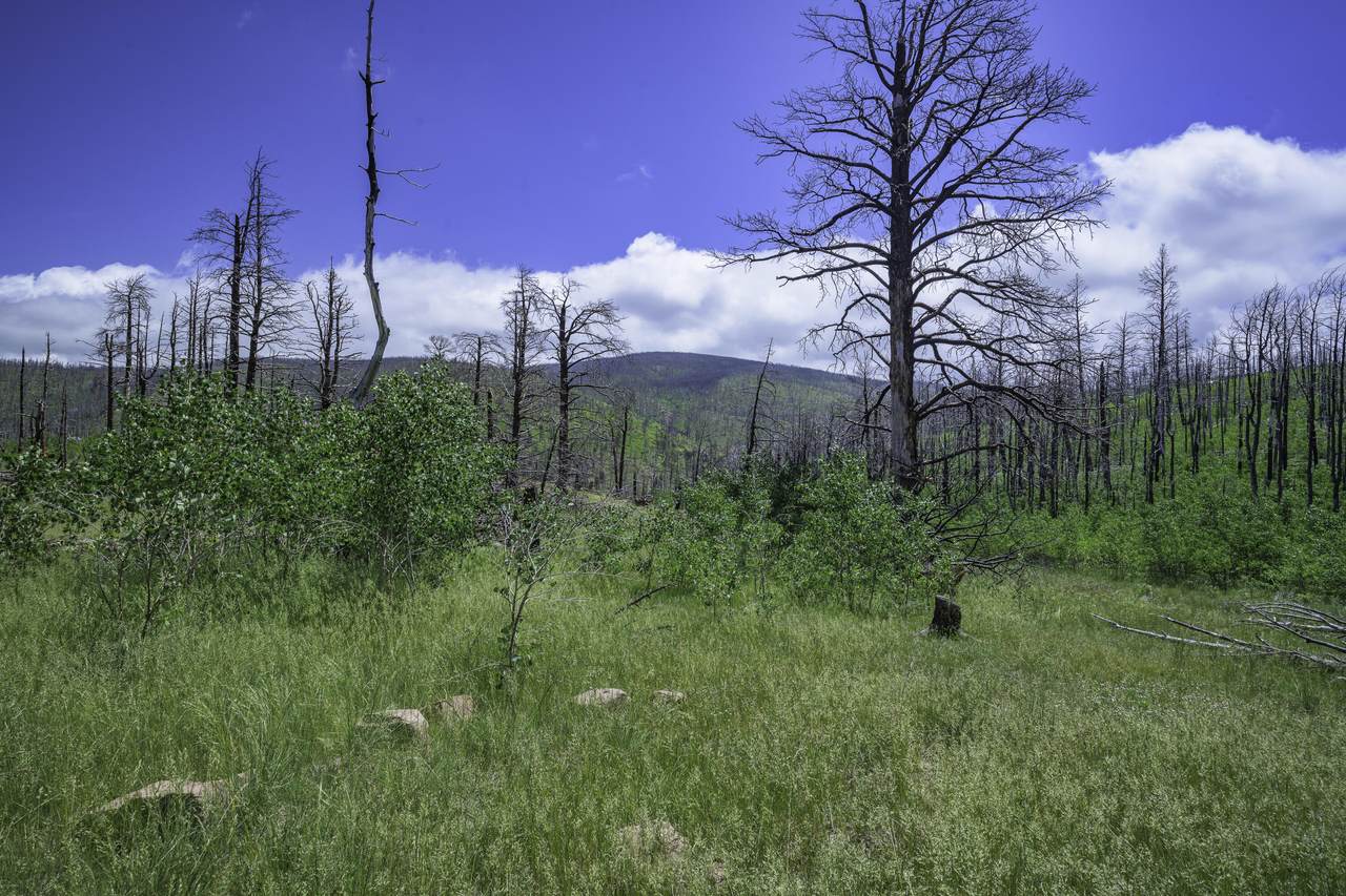 1185 Bechtel - Photo 1