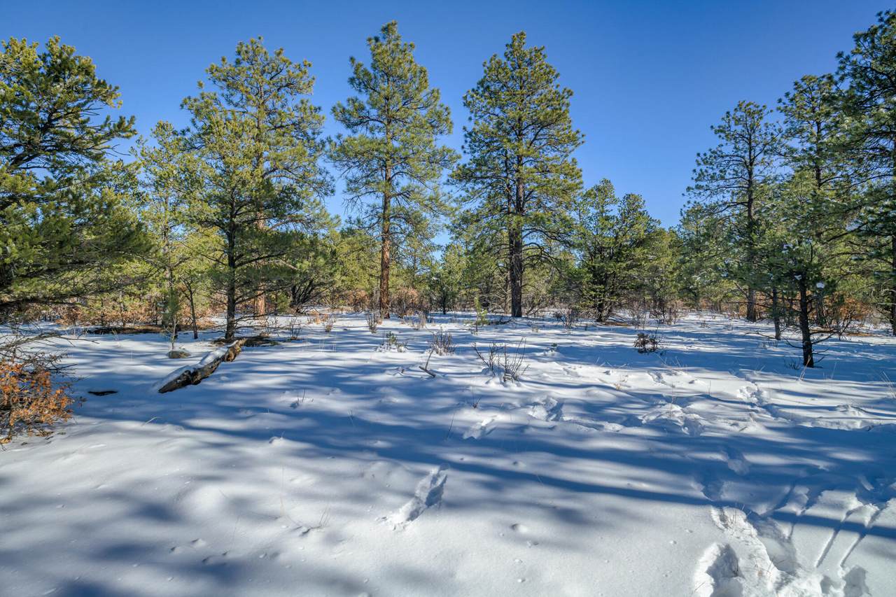 https://bt-photos.global.ssl.fastly.net/spanishpeaks/1280_boomver_2_25-34-2.jpg
