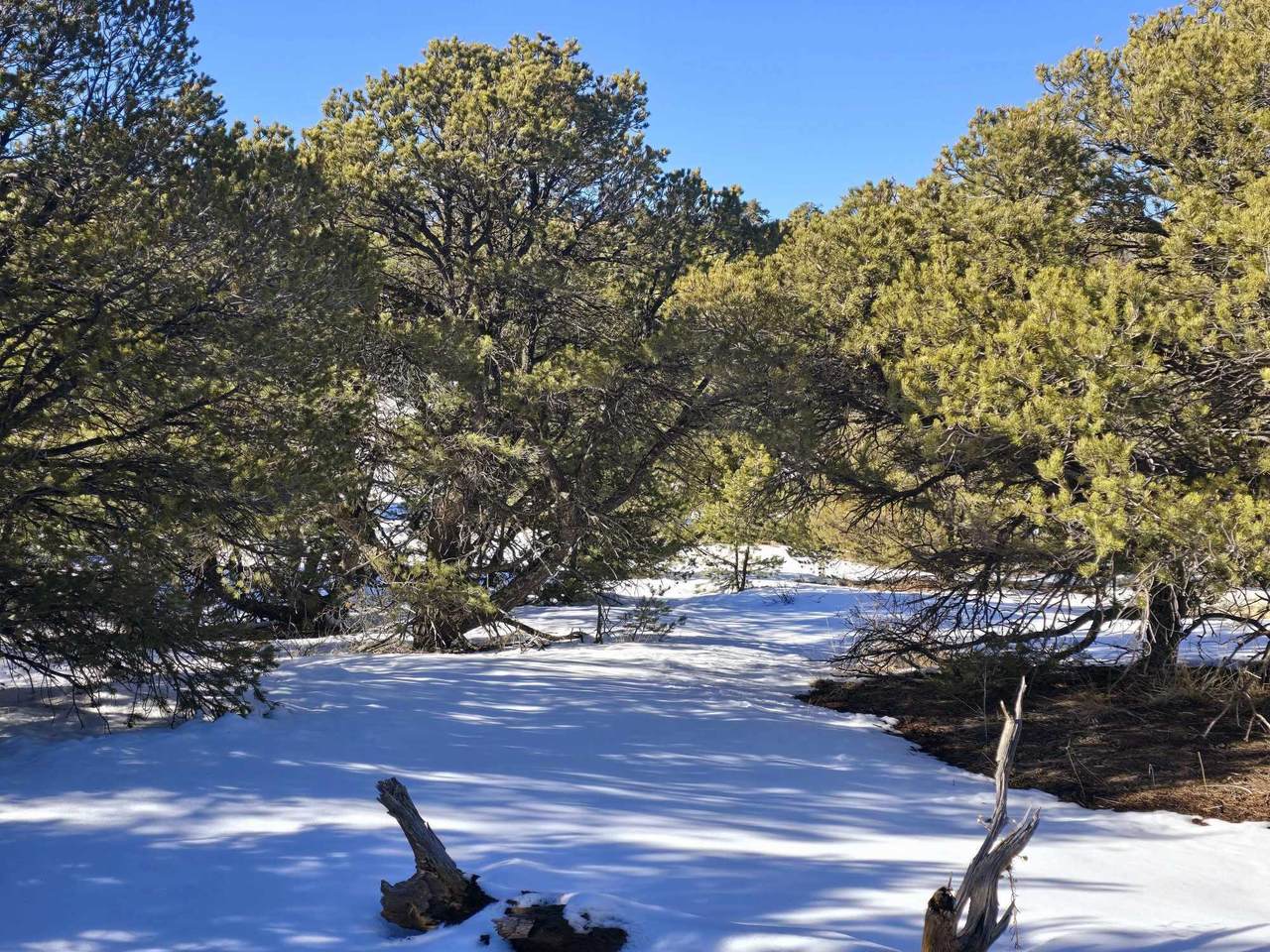 https://bt-photos.global.ssl.fastly.net/spanishpeaks/1280_boomver_2_25-36-2.jpg