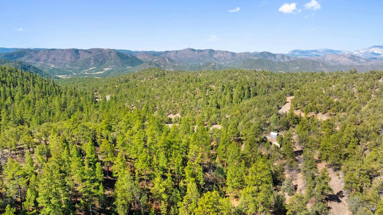 2057 Horse Thief Gulch Rd - Photo 1
