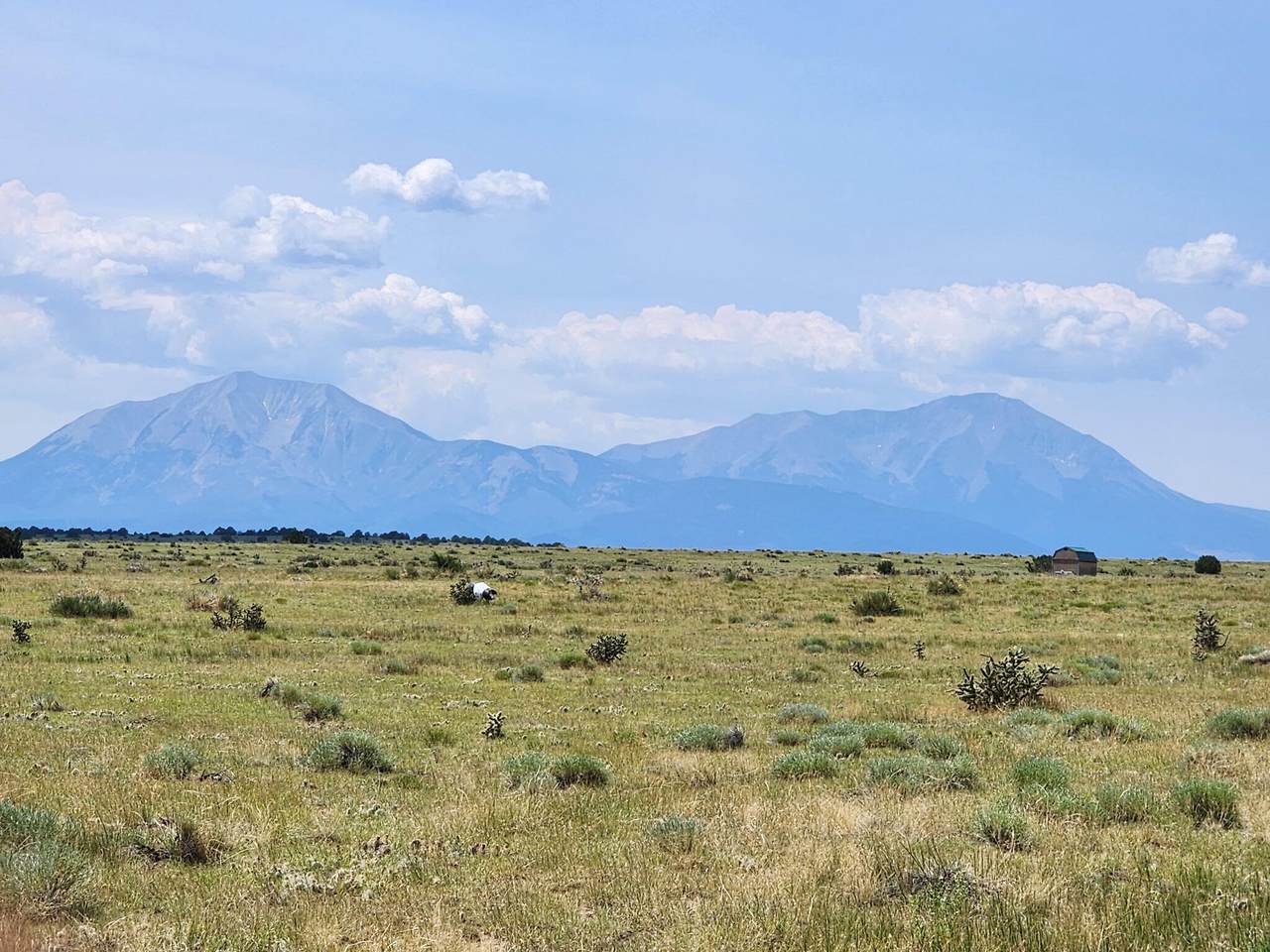 000 Soledado - Photo 1