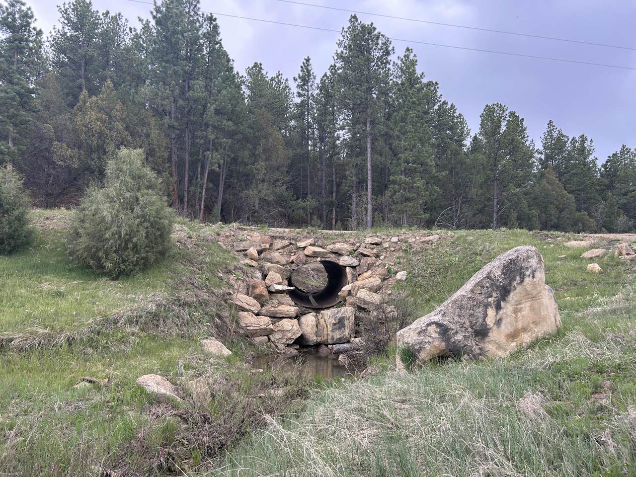 Lot G18 Santa Fe Trail Ranch - Photo 1