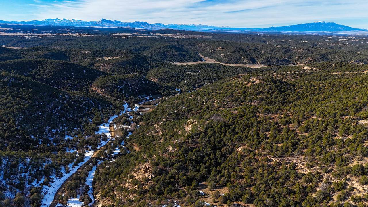 TBD Four Mile Canyon Lot 79 - Photo 1