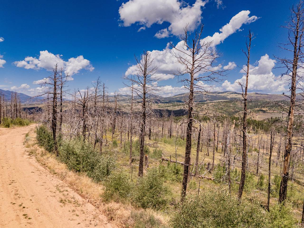 lot 459 Mulligan - Photo 1