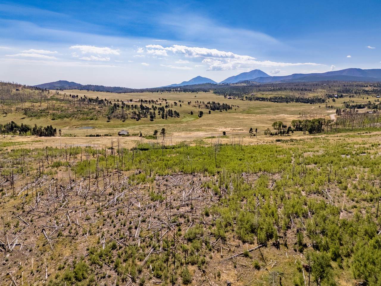Lot 1909 Noel Place - Photo 1