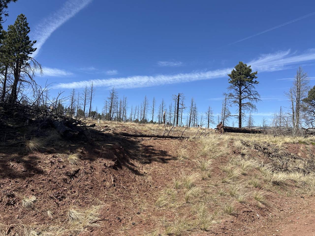 lot 542 Forbes Park - Photo 1