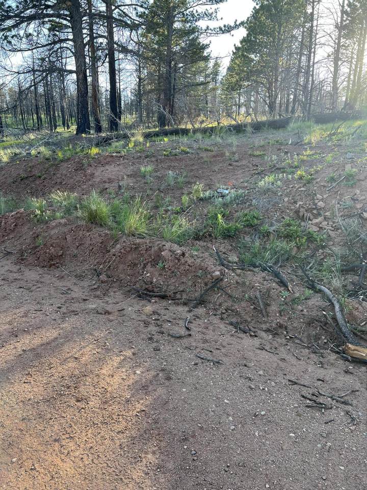 https://bt-photos.global.ssl.fastly.net/spanishpeaks/1280_boomver_2_26-115-2.jpg