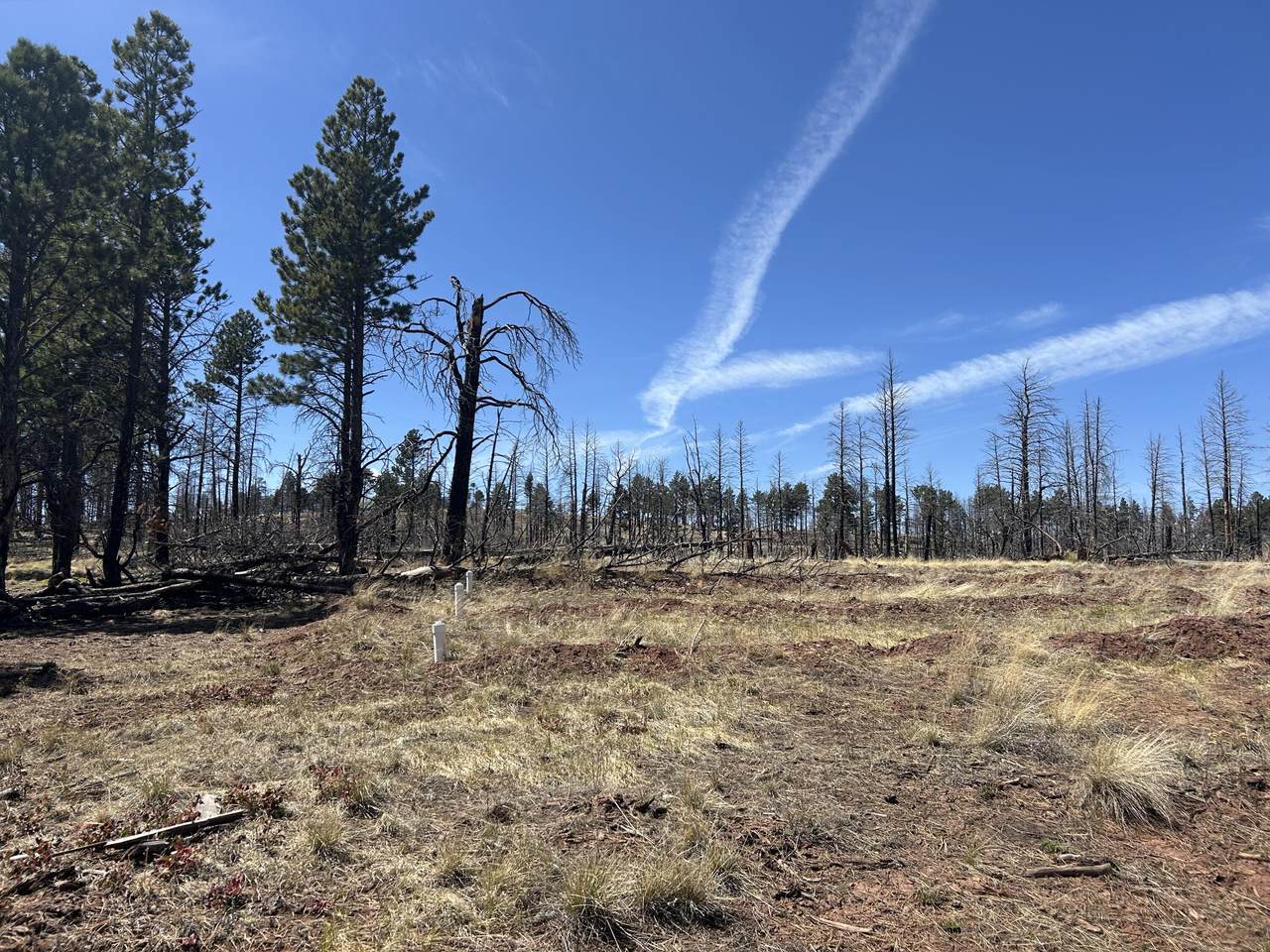 https://bt-photos.global.ssl.fastly.net/spanishpeaks/1280_boomver_2_26-115-2.jpg