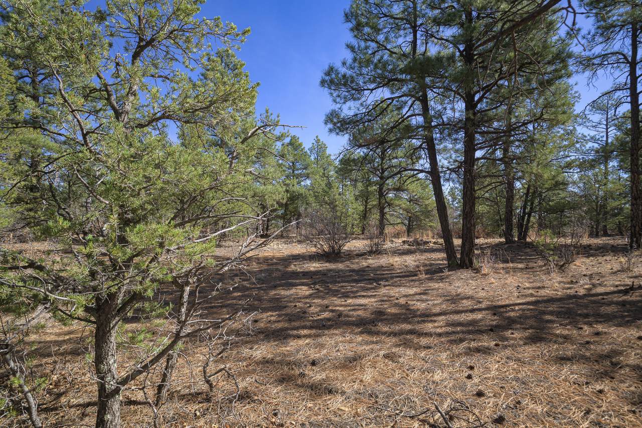 TBD Rancho La Garita Lot 1129 - Photo 1