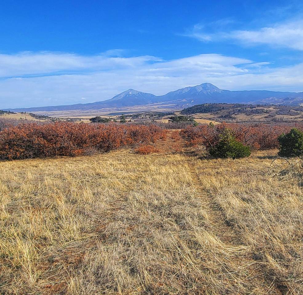 6801 Hwy 160, Tres Valles - Photo 1
