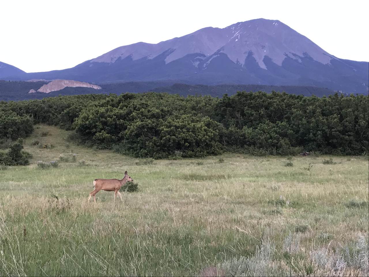 https://bt-photos.global.ssl.fastly.net/spanishpeaks/1280_boomver_2_26-290-2.jpg