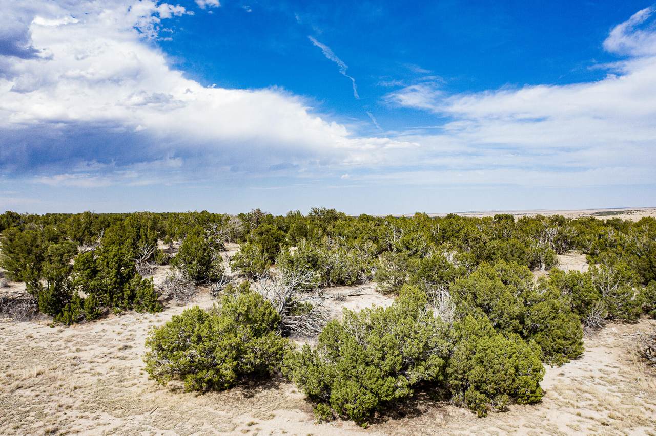 https://bt-photos.global.ssl.fastly.net/spanishpeaks/1280_boomver_2_26-456-2.jpg