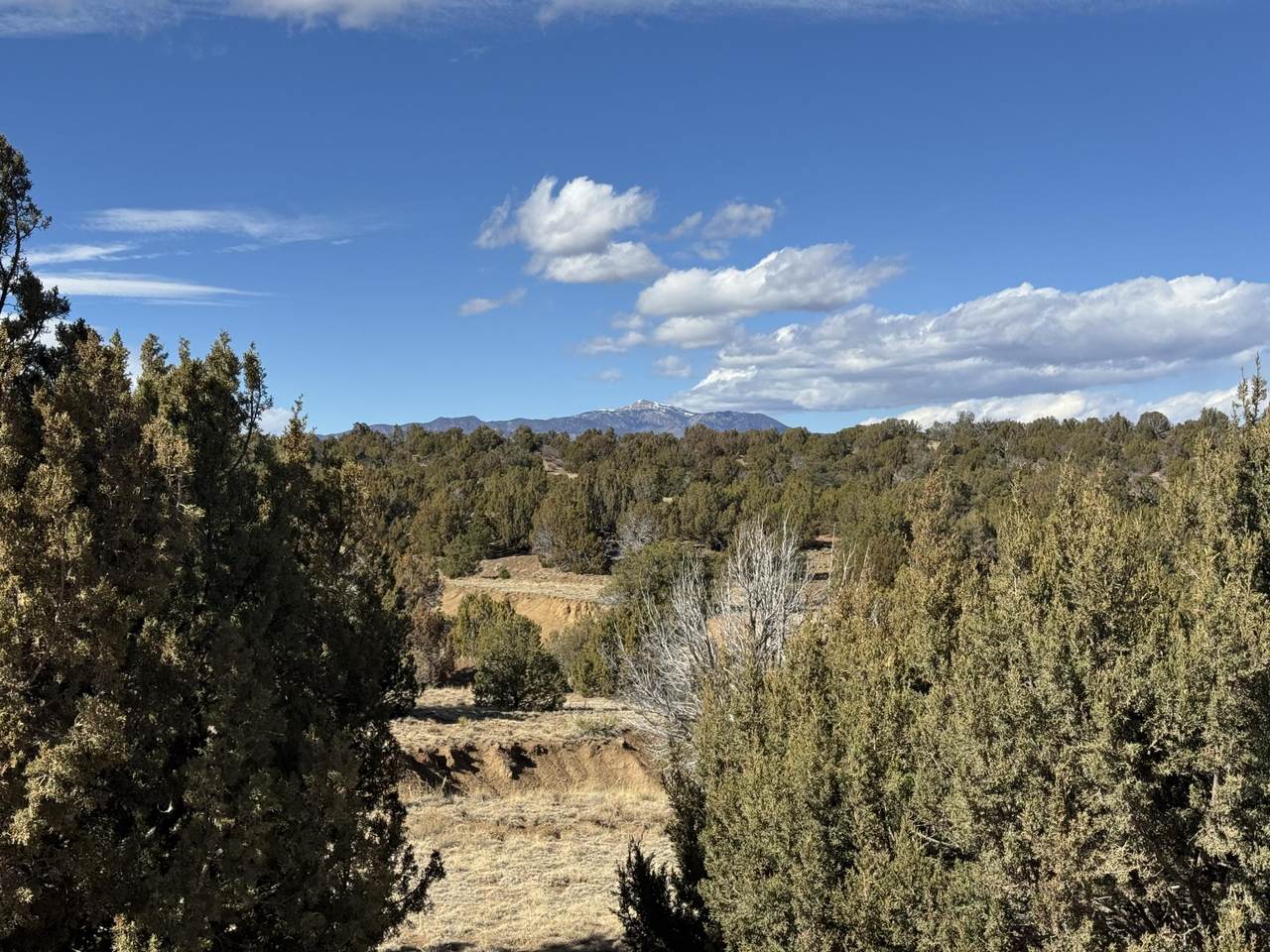 Lot 533 Rio Cucharas - Photo 1