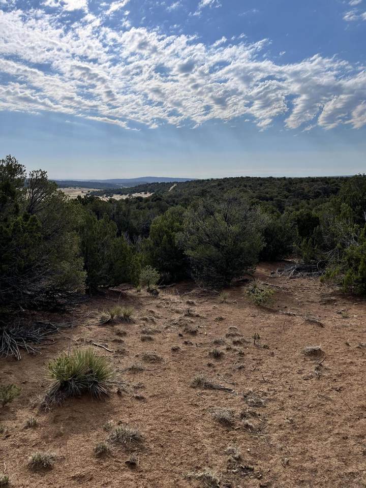 https://bt-photos.global.ssl.fastly.net/spanishpeaks/1280_boomver_2_26-704-2.jpg