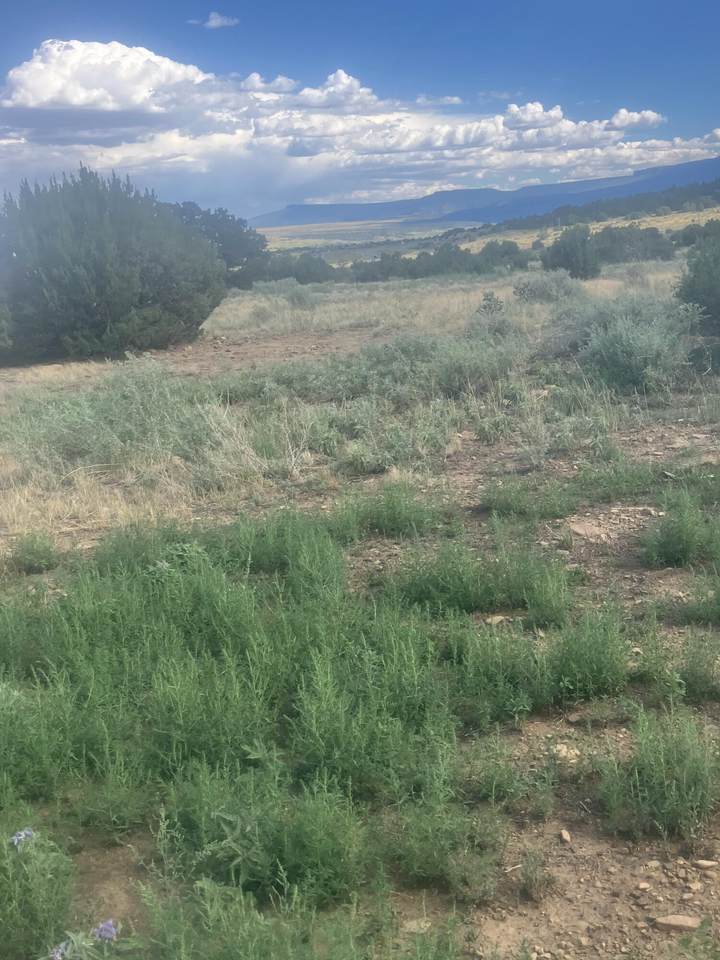 https://bt-photos.global.ssl.fastly.net/spanishpeaks/1280_boomver_2_26-812-2.jpg