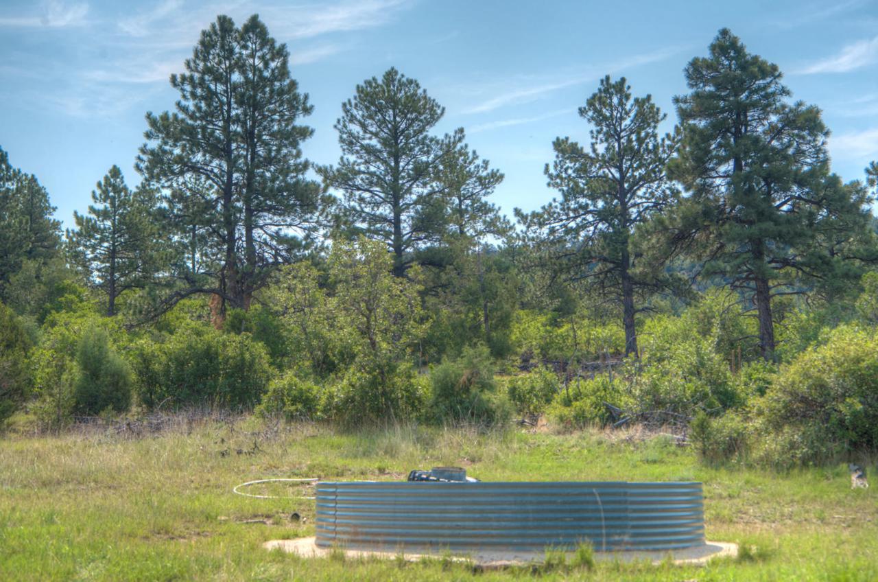 10454 Co Rd 310 - Photo 1