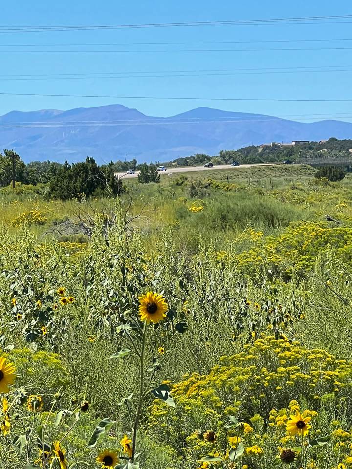 TBD Highway 160 Tract 2 - Photo 1