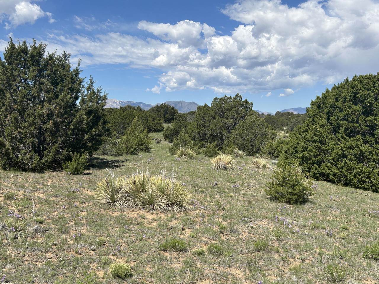 https://bt-photos.global.ssl.fastly.net/spanishpeaks/1280_boomver_3_23-1234-2.jpg