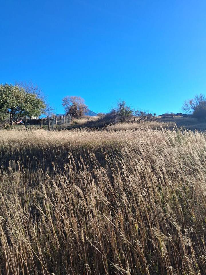 TBD Garland St - Photo 1