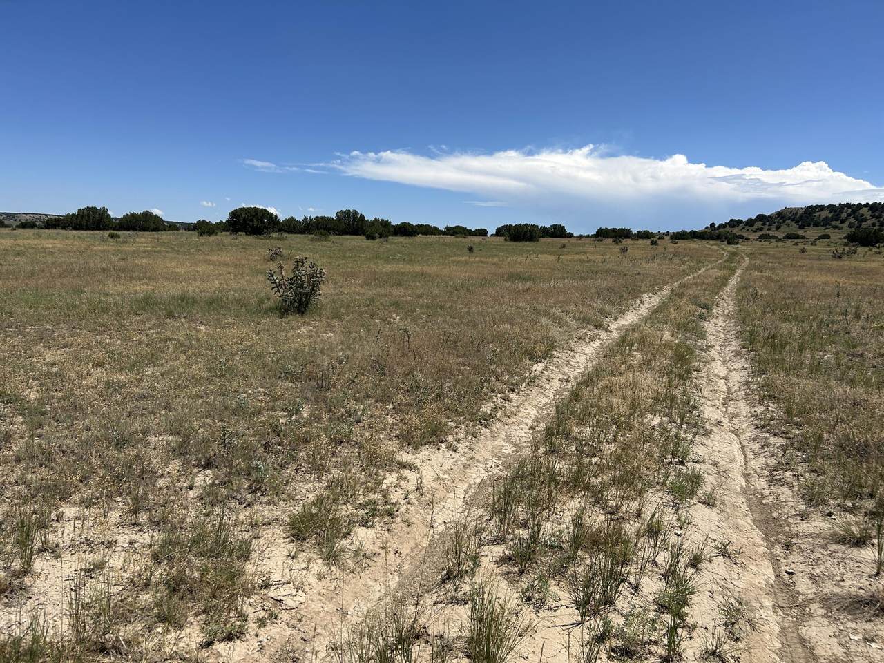 Lot 17 Longhorn Ranch - Photo 1