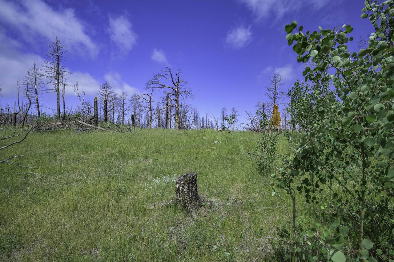 https://bt-photos.global.ssl.fastly.net/spanishpeaks/1280_boomver_3_25-302-2.jpg