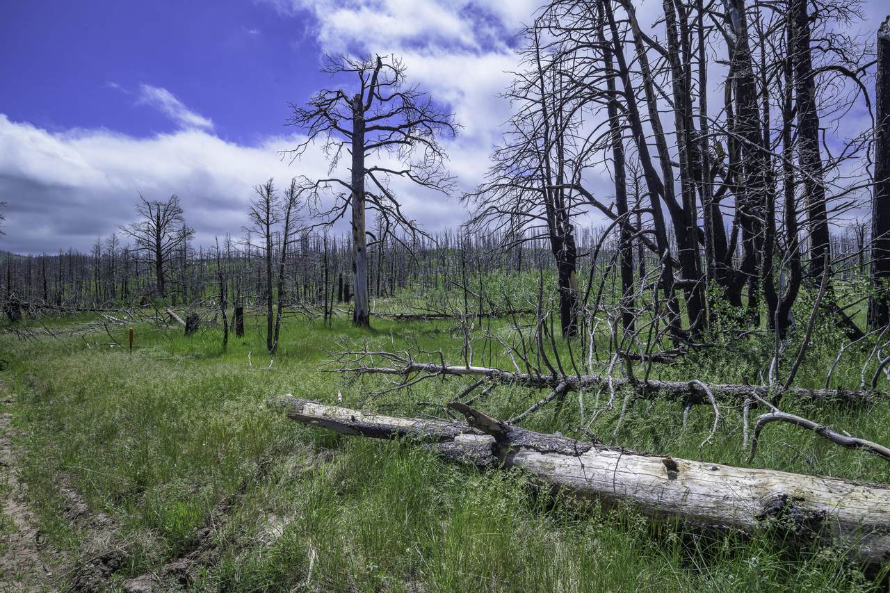 https://bt-photos.global.ssl.fastly.net/spanishpeaks/1280_boomver_3_25-302-2.jpg