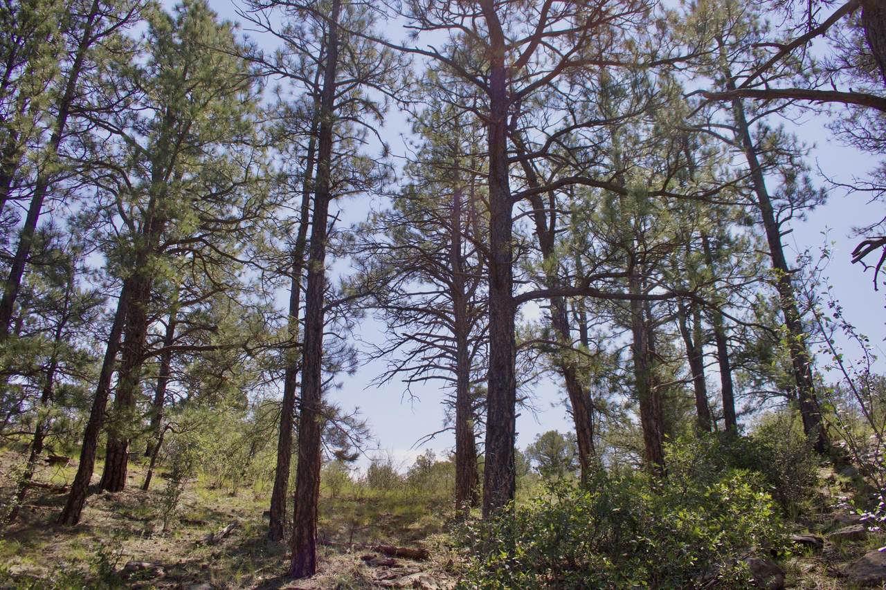 https://bt-photos.global.ssl.fastly.net/spanishpeaks/1280_boomver_3_25-938-2.jpg