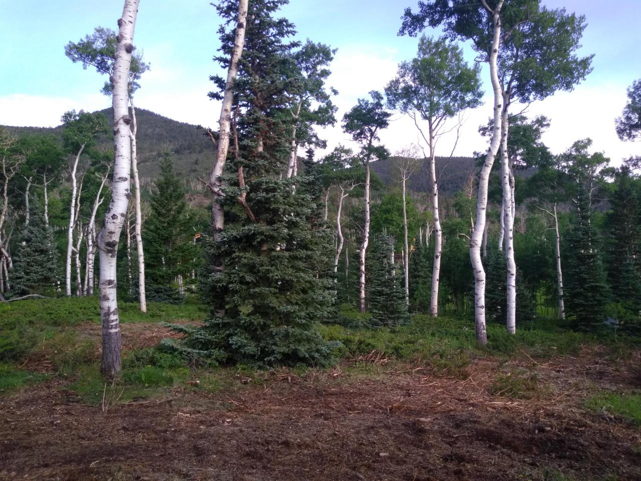 TBD Aspen Circle - Photo 1
