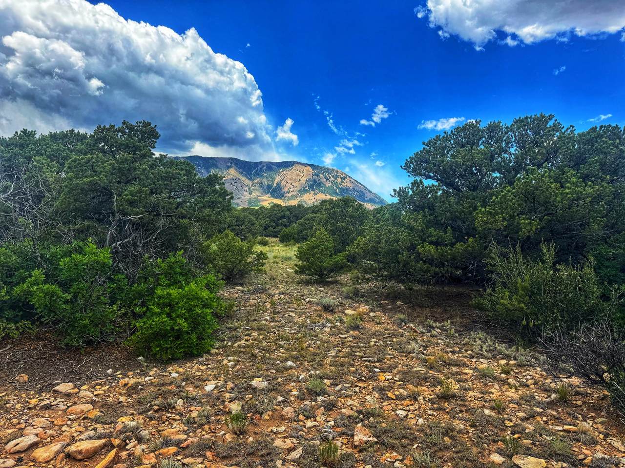  Tbd Cl&G 106 Cc-1 - Photo 1