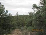 12510 Smyths Trek - Photo 10