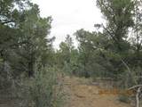 12510 Smyths Trek - Photo 11