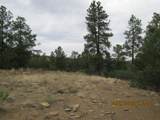 12510 Smyths Trek - Photo 12