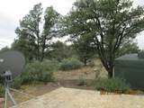 12510 Smyths Trek - Photo 14