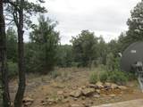 12510 Smyths Trek - Photo 15