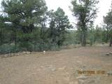 12510 Smyths Trek - Photo 2