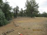 12510 Smyths Trek - Photo 21