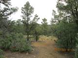 12510 Smyths Trek - Photo 22